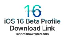 iOS 16 Beta Profile Download Free Link